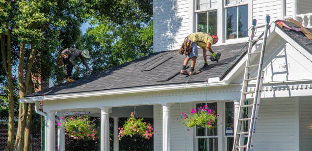 Best Roof Maintenance Services  in Bertsch Oceanview, CA