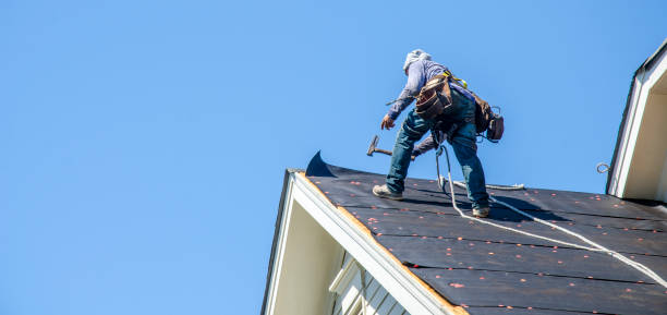 Roof Gutter Cleaning in Bertsch Oceanview, CA